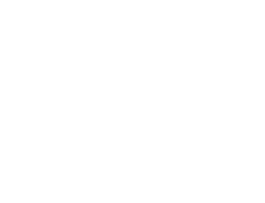 Bronx